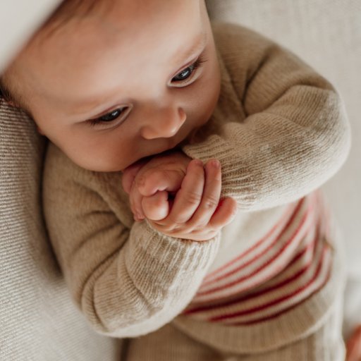 Merino vilnos kelnytės „Kiškutis ir draugai“ | Wedoble