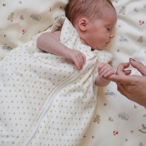 Miegmaišis 0-6m - Rowan | Cam Cam Copenhagen