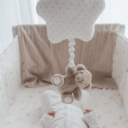 Muzikinis žaisliukas Meškutis | Livly